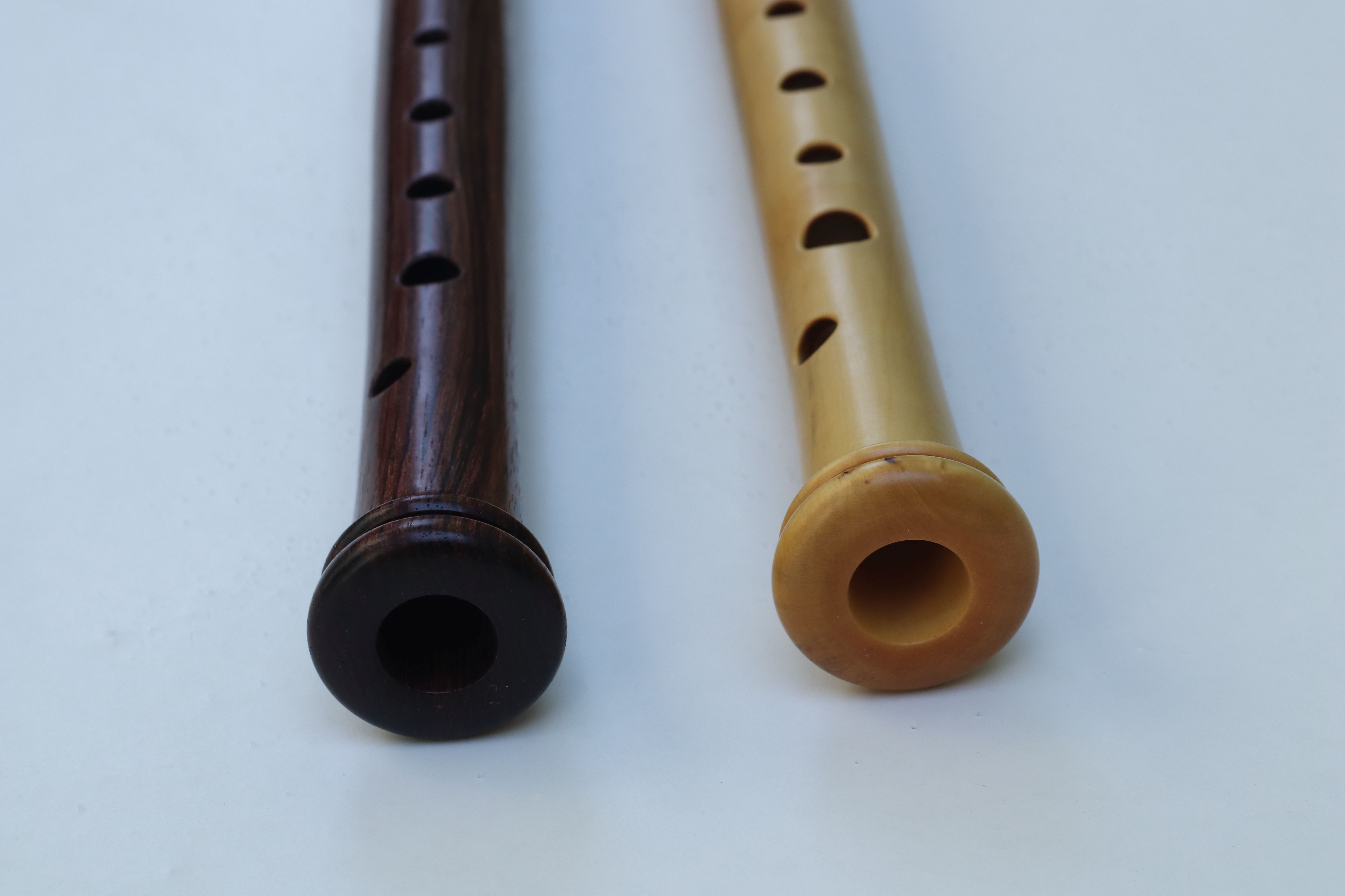 Transitional soprano recorder detail
